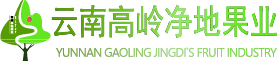 高岭净地管理系统